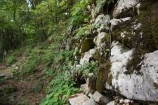 Tourist destination images of Odachi Castle(2)