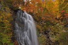 Tourist destination images of Onokogawa Fudo Falls(1)