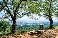 Tourist destination images of Kasugayama Castle Ruins(2)