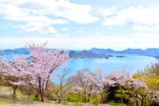 Tourist destination images of Fudekageyama Observatory(2)