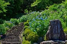 Tourist destination images of Tsukimi no Mori (Moon Viewing Forest)(1)