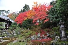 Tourist destination images of Reikanji Temple(3)