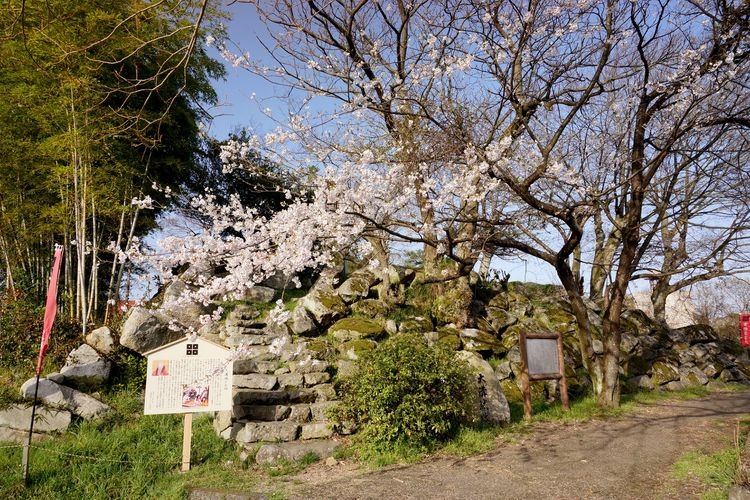 Ōgō Castle Ruins