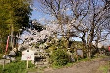 Tourist destination images of Ōgō Castle Ruins(1)