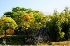 Tourist destination images of Ōgō Castle Ruins(2)