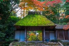 Tourist destination images of Hōnen-in Temple(4)