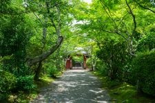 Tourist destination images of Jōshōkōji Temple(6)