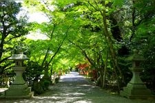 Tourist destination images of Oharano Jinja Shrine(2)