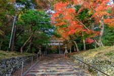 Tourist destination images of Oharano Jinja Shrine(5)