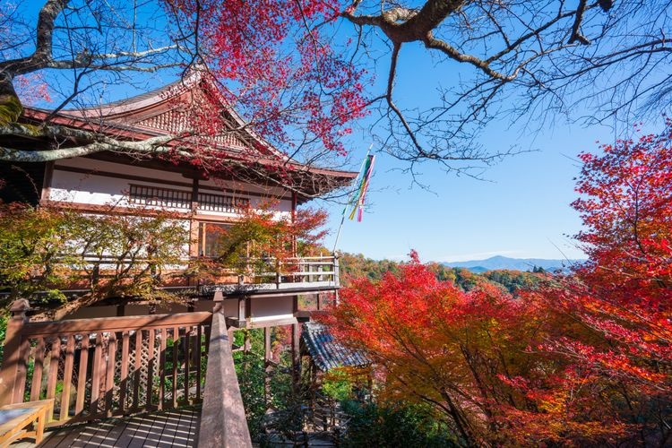 Daihikaku Senko-ji 3