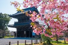 Tourist destination images of Seiryo-ji Temple(4)