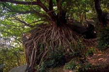 Tourist destination images of Amakusa's Laputa(2)
