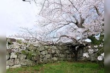 야쓰시로성터의 관광지 사진(1)