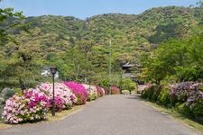 Tourist destination images of Yoshika Park(3)