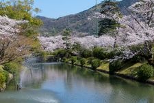 吉香神社の観光地画像(4)