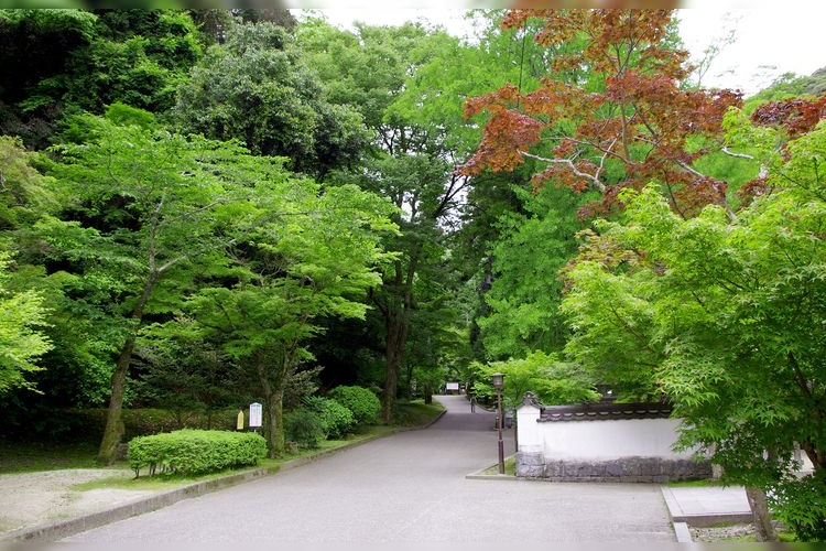 Momijidani Park