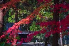 Tourist destination images of Kikkawa Family Mausoleum(4)