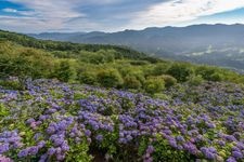 Tourist destination images of Miyama Park(4)