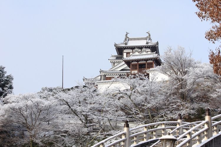 Fukuchiyama Castle Ruins