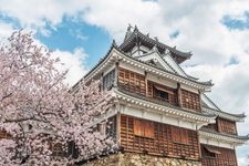 Tourist destination images of Fukuchiyama Castle Ruins(3)