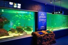 Tourist destination images of Shin-Sapporo Sunpiazza Aquarium(1)