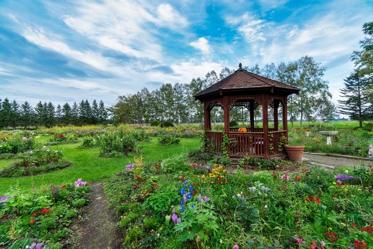 Shitake Garden