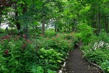 Tourist destination images of Shitake Garden(3)