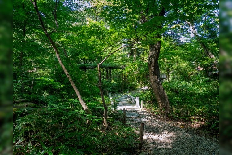 角館歴史村・青柳家