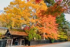 角館歴史村・青柳家の観光地画像(4)