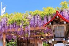 Tourist destination images of Kanjya Suijin Shrine(4)