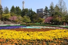 勾當台公園的觀光地圖片(3)