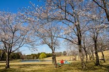 Tourist destination images of Science Expo Memorial Park(4)