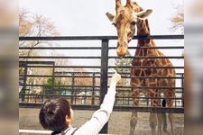 Tourist destination images of Utsunomiya Zoo(3)