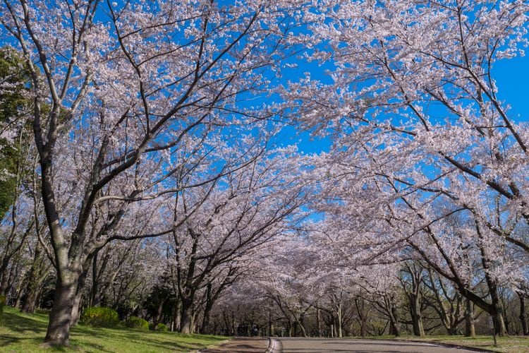 青葉の森公園の観光地画像(3)