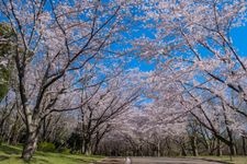 青葉の森公園の観光地画像(3)