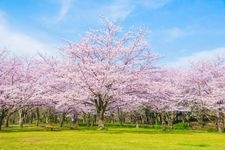 Tourist destination images of Aoba no Mori Park(3)