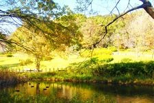 青葉の森公園の観光地画像(2)