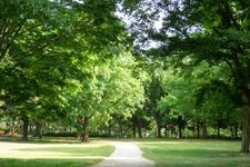 青葉の森公園の観光地画像(1)