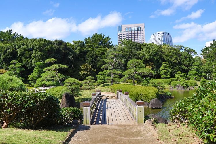 Chiba Prefectural Makuhari Seaside Park