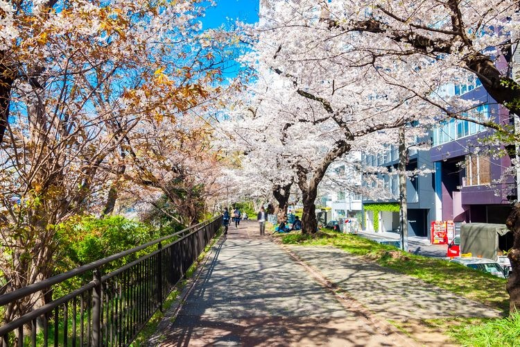 Sotobori Park