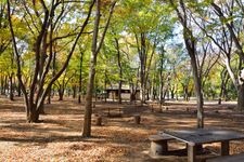 Tourist destination images of Hikarigaoka Park(1)