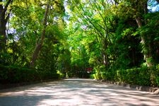 Tourist destination images of Igusa Hachiman-gu Shrine(3)