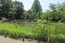 哲學堂公園的觀光地圖片(1)