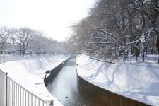 Tourist destination images of Zenpukuji River Green Space(2)