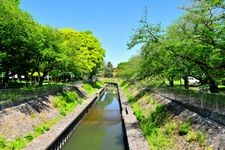 Tourist destination images of Zenpukuji River Green Space(3)