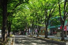 Tourist destination images of Ōkunitama Shrine(2)