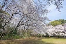 Tourist destination images of Komaba Park(2)