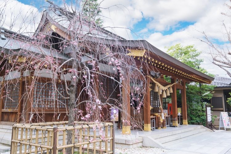 Tourist destination images of Nitta Shrine(2)