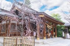 Tourist destination images of Nitta Shrine(2)