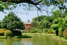 東京大学大学院理学系研究科附属植物園（小石川植物園）の観光地画像(5)